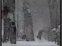 SnowUmbrellaPOSTER01